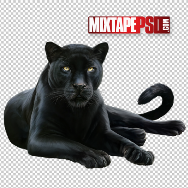 Black Panther PNG 2