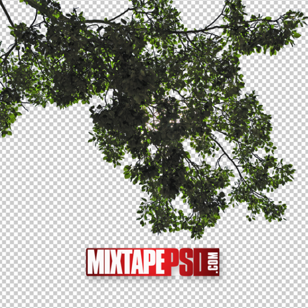 Cut Out Tree Leaves Template
