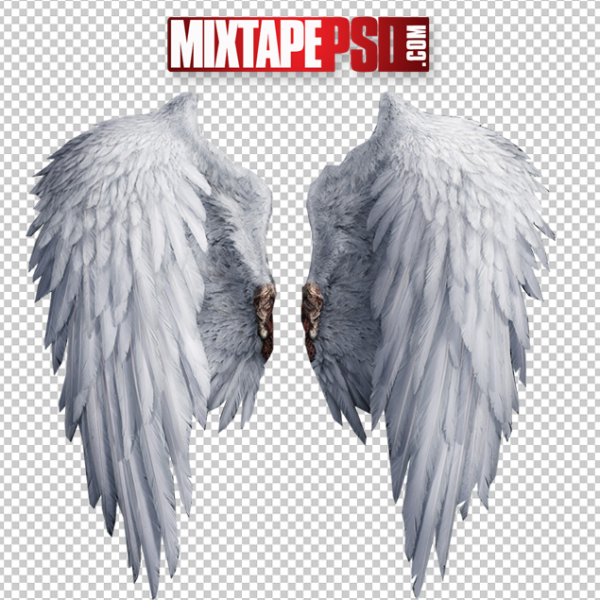 HD Angel Wings Template
