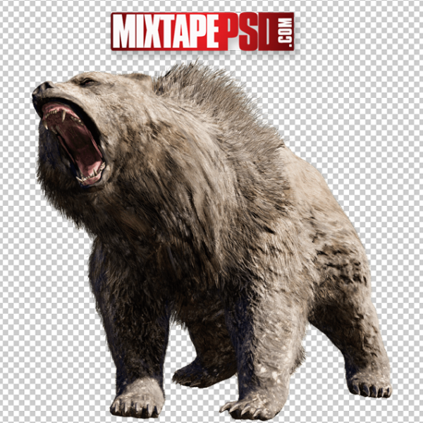 Bear Cut PNG 3, Officialpsds, Officialpsd, png images free, png images transparent background, png images hd, png images for photoshop, png images website, png images for free download, png images download, png images background, png images examples, png images for editing, png images for download, PNG Images