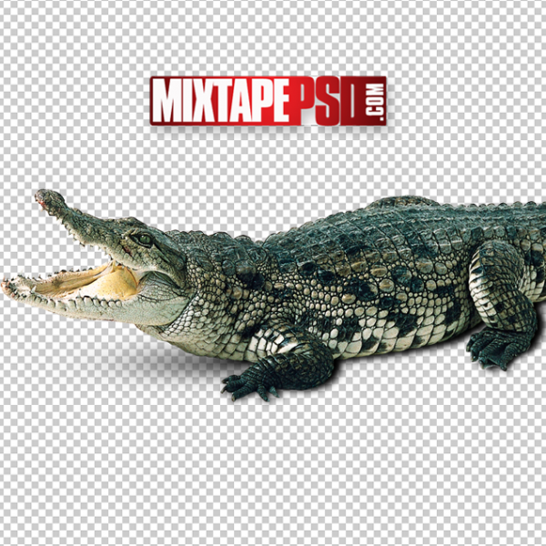 Crocodile Cut PNG, Officialpsds, Officialpsd, png images free, png images transparent background, png images hd, png images for photoshop, png images website, png images for free download, png images download, png images background, png images examples, png images for editing, png images for download, PNG Images