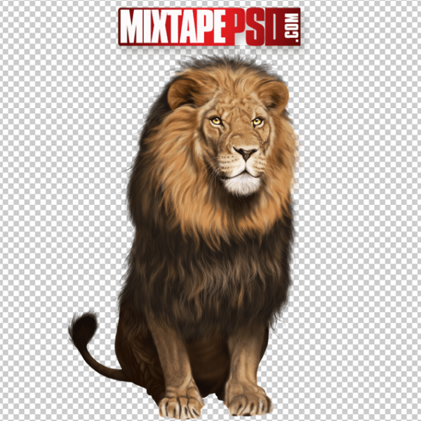 Male Lion PNG 5, Officialpsds, Officialpsd, png images free, png images transparent background, png images hd, png images for photoshop, png images website, png images for free download, png images download, png images background, png images examples, png images for editing, png images for download, PNG Images