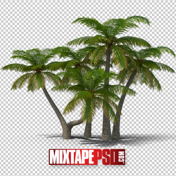 HD Palm Trees 2