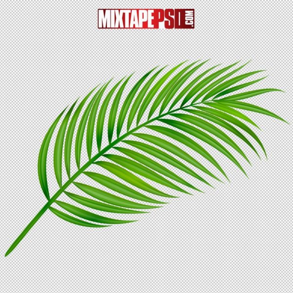 HD Cartoon Leaf 4, pngs, png’s, png images, image png, images png, png backgrounds, transparent png, free png, png tree, png transparent background, free png image, transparent images